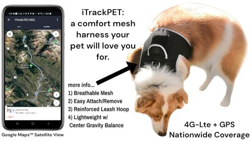 Portable Mini GSM GPS Pet Tracker for Phone Waterproof Tracking System Size:XS