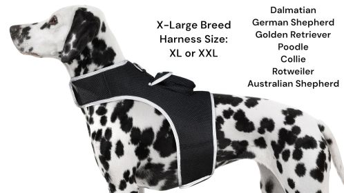 Waterproof Tracking Collars for Hunting Dogs Realtime GPS Pet Tracker Size:XL