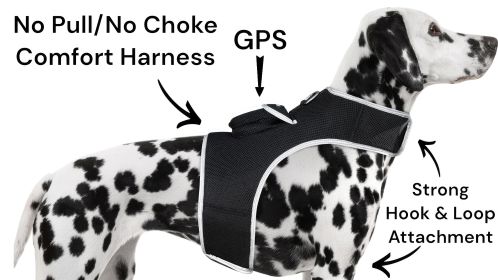 Action Activated Collar Mounted Cell Phone GPS Pet Tracker Waterproof Size:XXL