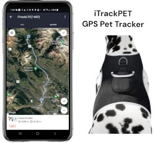 Best Dog GPS Pet Locator - Pet Tracker GSM GPRS Waterproof Tracking Device Size:L