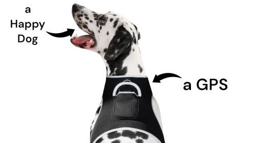 Dog Tracking Collar GPRS GSM GPS Realtime Pet Locator Portable Tracker Size:L