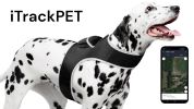 Pet Tracker Realtime GSM GPS Tracking Collars for Hunting Dogs Waterproof Size:XL