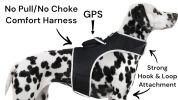 Pet Tracker Realtime GPS Dog Tracking Systems Tracker w/ Easy Navigate App Size:L