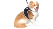 Pet Tracker GSM GPS Realtime Surveillance Device Tracking Collars for Dogs Size:L