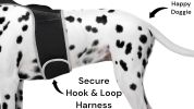 High Quality Pet Tracker GSM Portable Tracking Device Best GPS Pet Tracker Size:L