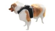 Mini Collar Mount Animal GPS Tracking Device Realtime Pet Dog Locator Size:L