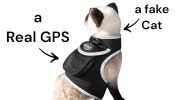 Pet Tracker Pocket GPS Dog Tracking Systems for Pet Security Surveillance Size:L