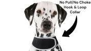 GSM GPS Dog Collar High Rated Reviews Rechargeable Pocket Pet Tracker Size:L