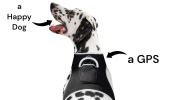 Remotely Monitor Pets with Pet Tracker Waterproof GPS Dog Collars Tracker Size:XS