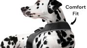 Inexpensive Mini Tracking Dog Collar GSM GPS Portable Location Tracker Size:L